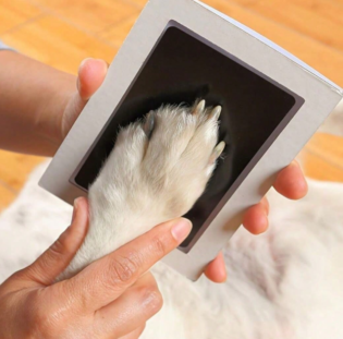 1pc Personalized Pet Paw Print Kit